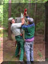 PICT0051_Bau Homepage.jpg (48605 Byte)