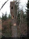 PICT0280_Specht.jpg (63276 Byte)