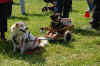Schmankerlfest_August.08_ (79)_Web.JPG (56737 Byte)