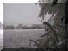 winter.jpg (17395 Byte)